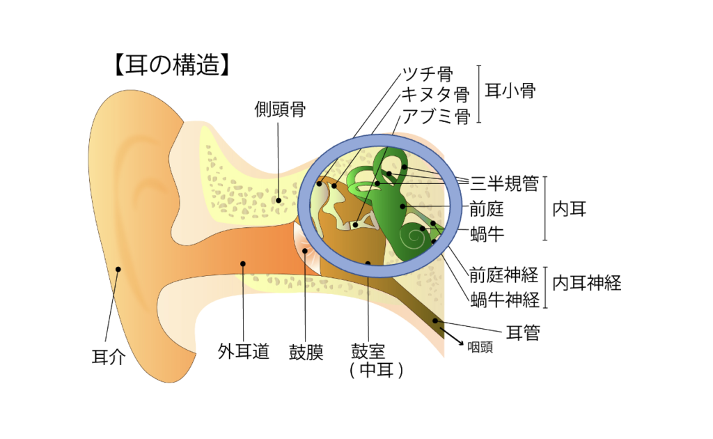この状態の回復時間